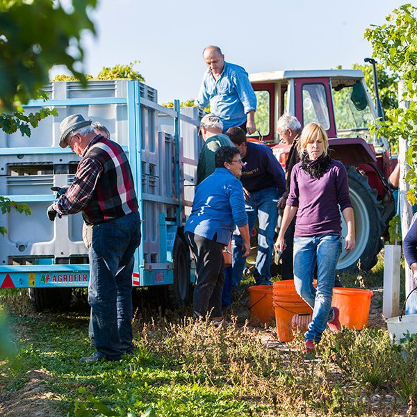 Unser Team